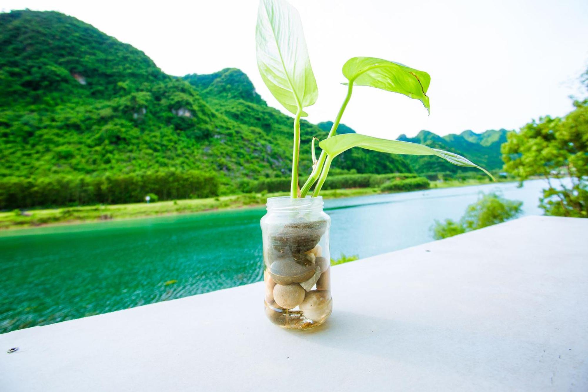 Phong Nha A Little Leaf Homestay Exterior foto