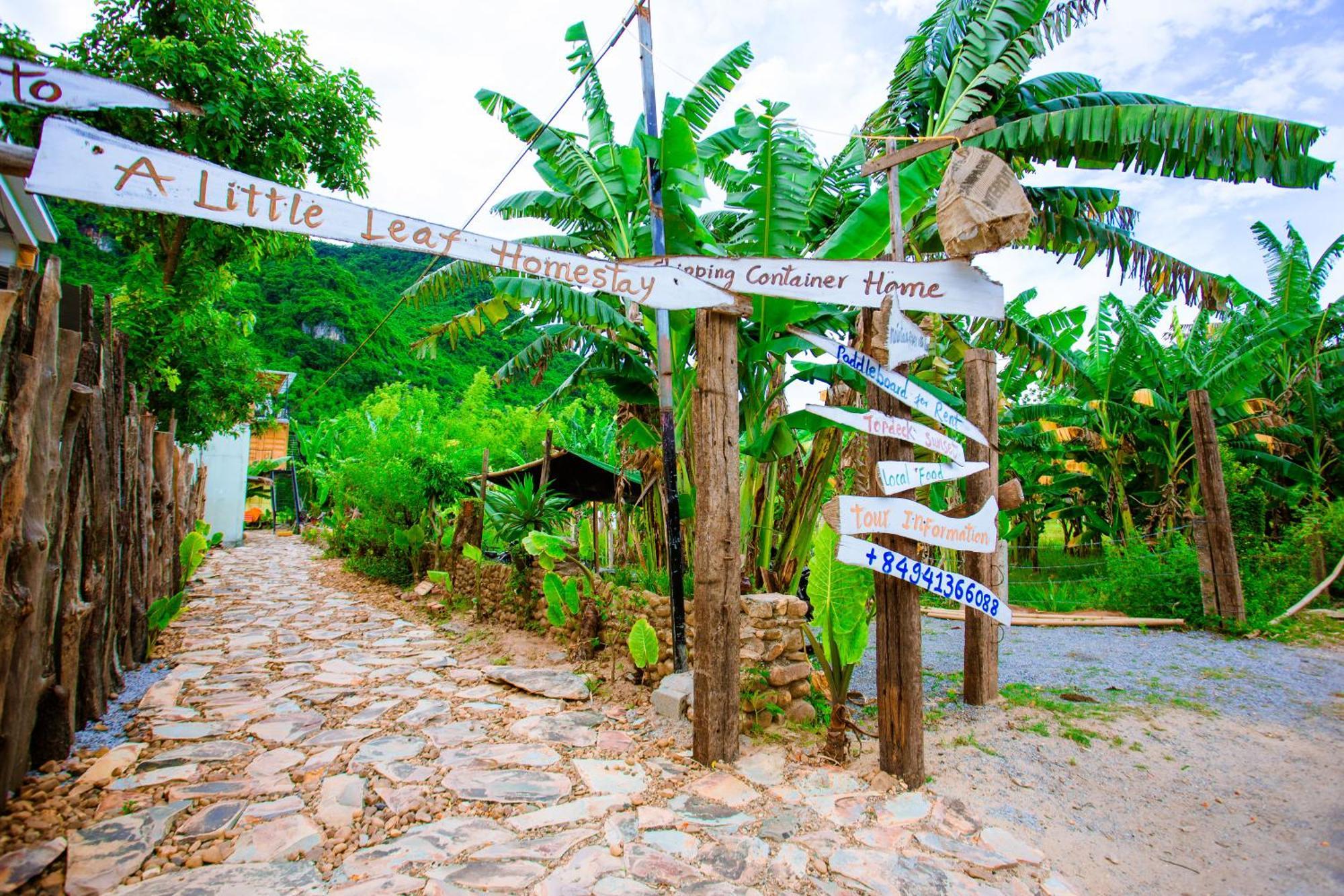Phong Nha A Little Leaf Homestay Exterior foto